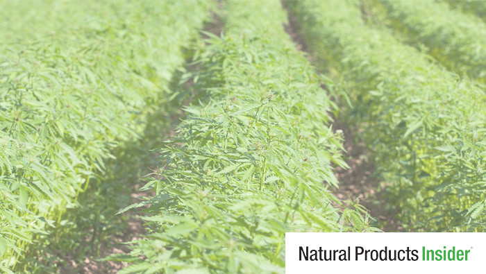 Tom Jonaitis Quoted in Natural Products Insider Article on GRAS and NDI Pathways for CBD Products