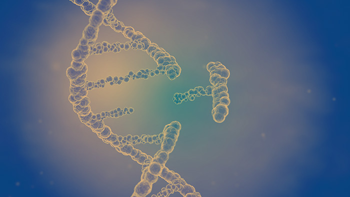 Genome-Edited Crops and the National Bioengineered Food Disclosure Standard: Can Regulators Find the Right Balance?