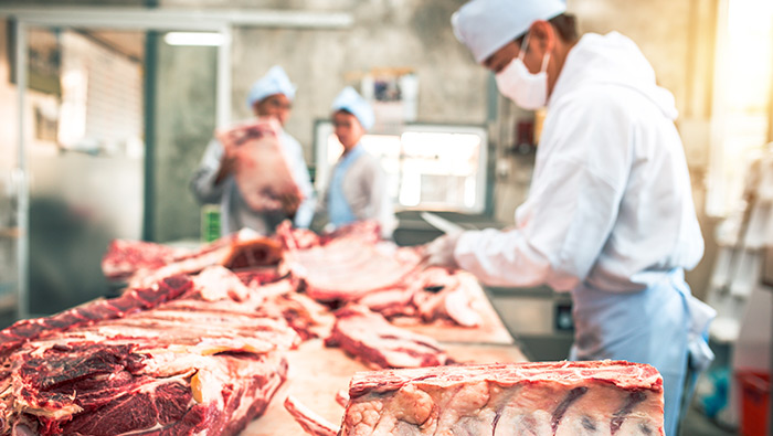 USDA Regulatory Requirements for Food Safety