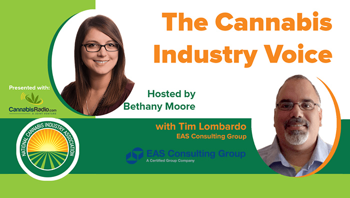 Tim Lombardo Discusses Food Safety for CBD Infused Edibles in NCIA Podcast