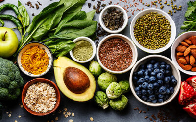 Selecting a CRO – an Important Consideration on the Path to Determining GRAS for a Food Ingredient