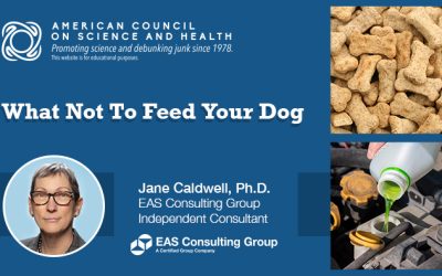 What Not To Feed Your Dog