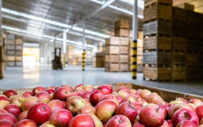 Review of Food Safety Needs to Export from the USA