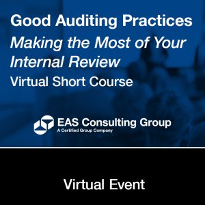 Good Auditing Practices