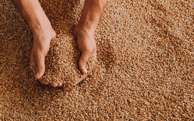 Health Claims and Dietary Fiber