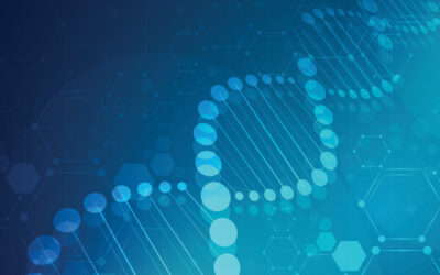Current Food Production Methods