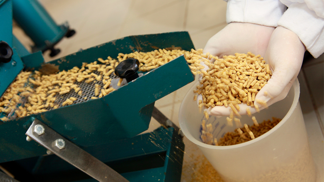 Animal Food GRAS: Unpacking the Essentials