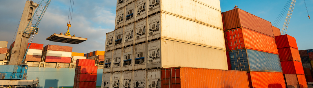 Importing Meat, Poultry and Egg Products to the United States