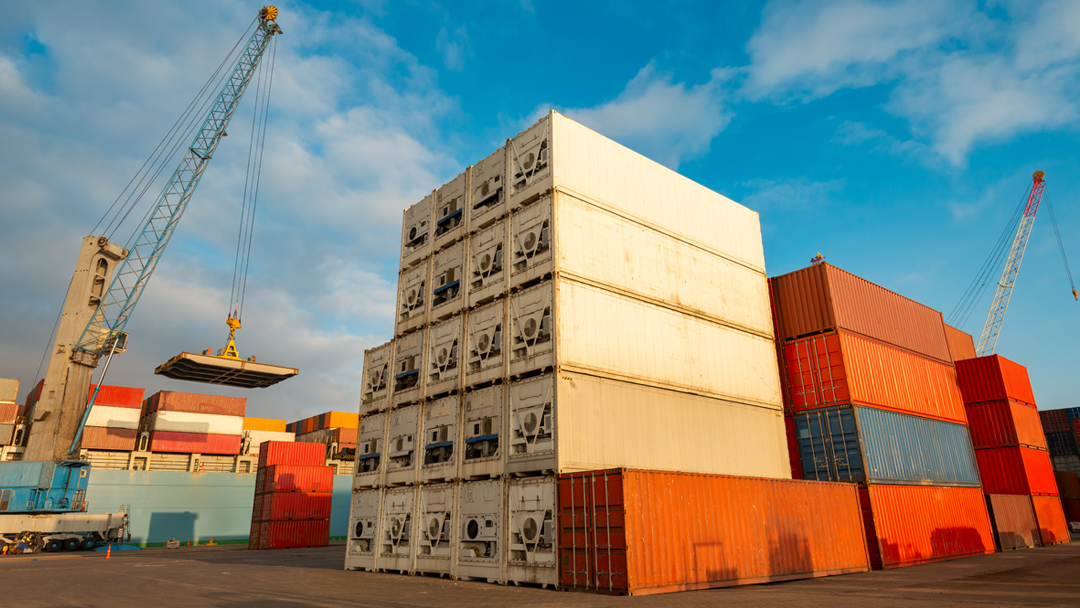 Importing Meat, Poultry and Egg Products to the United States