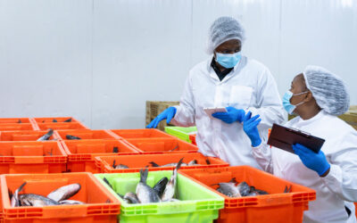 Import Seafood HACCP: Understanding FDA Requirements for U.S. Seafood Importers