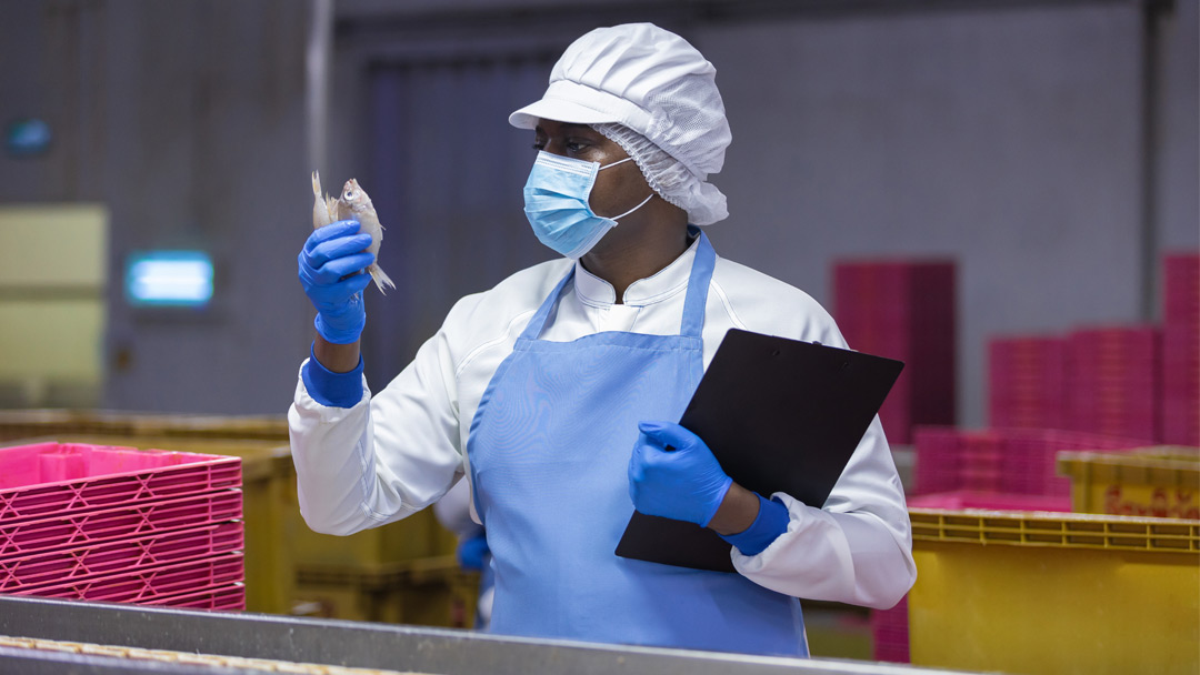 Basic Seafood HACCP Training