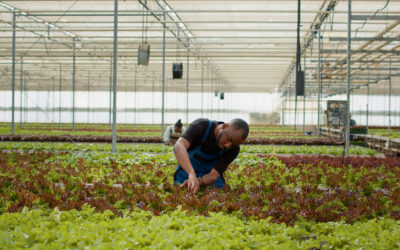 The #1 FSMA Element Most Produce Importers Fail to Get Right