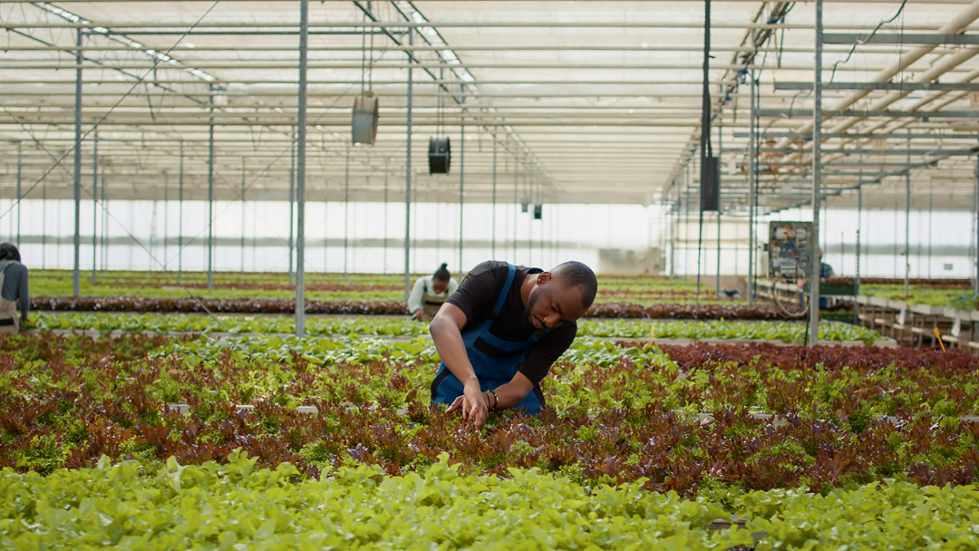 The #1 FSMA Element Most Produce Importers Fail to Get Right